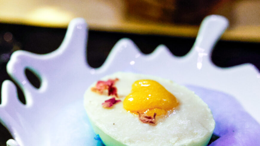 Week Six: From Colors to Conservation