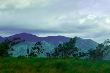 Week Ten: From Rainforests to Rodeo