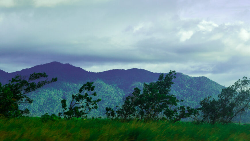 Week Ten: From Rainforests to Rodeo