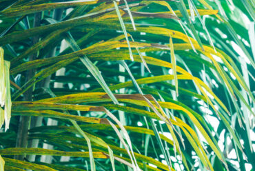 Week Eleven: Finding Creativity Everywhere