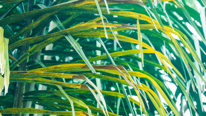 Week Eleven: Finding Creativity Everywhere