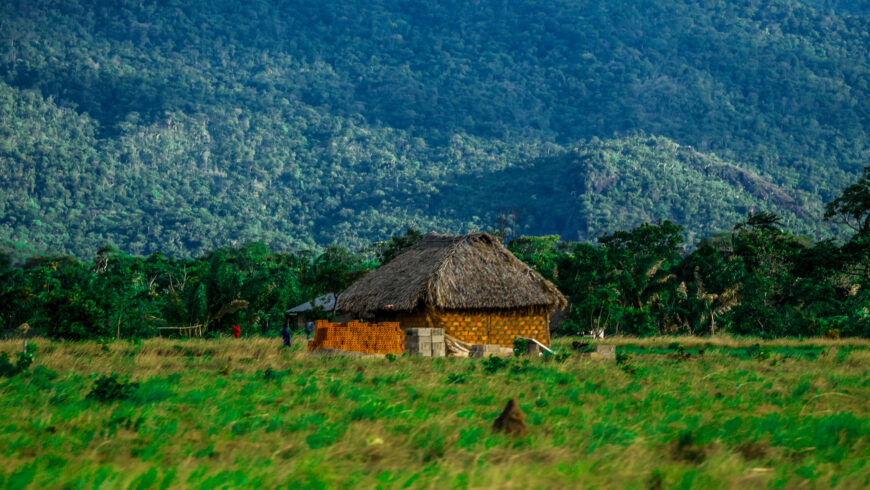 Chapter Thirty: Keeping Moving!