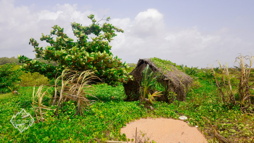 AI Communications Toolkit for Conservation Nonprofits