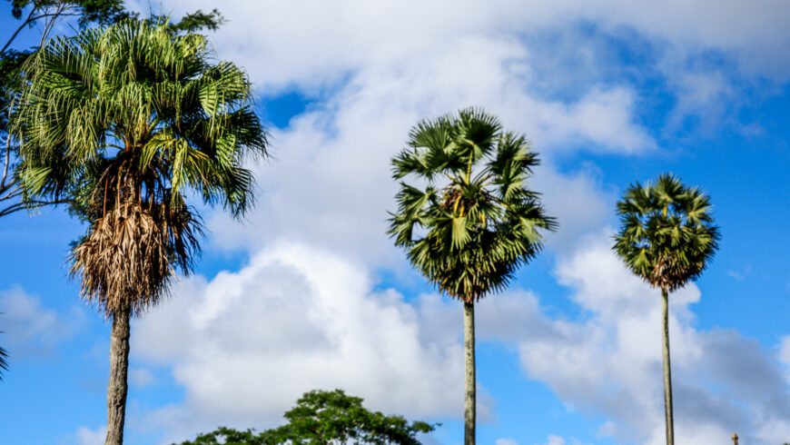 Chapter Twenty Nine: Storytelling 101