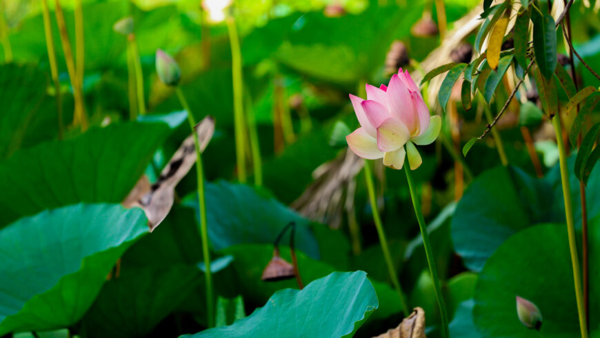 Chapter Thirty Five: Back to GT