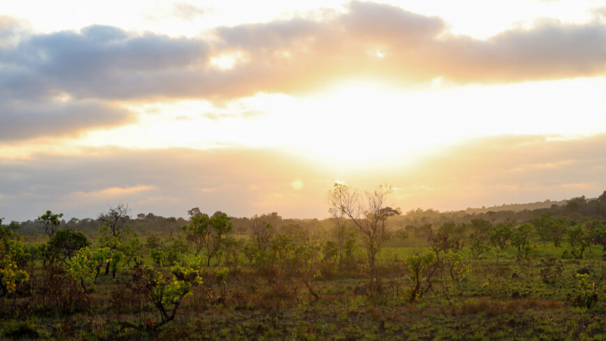 Chapter Forty Six: Remix Culture