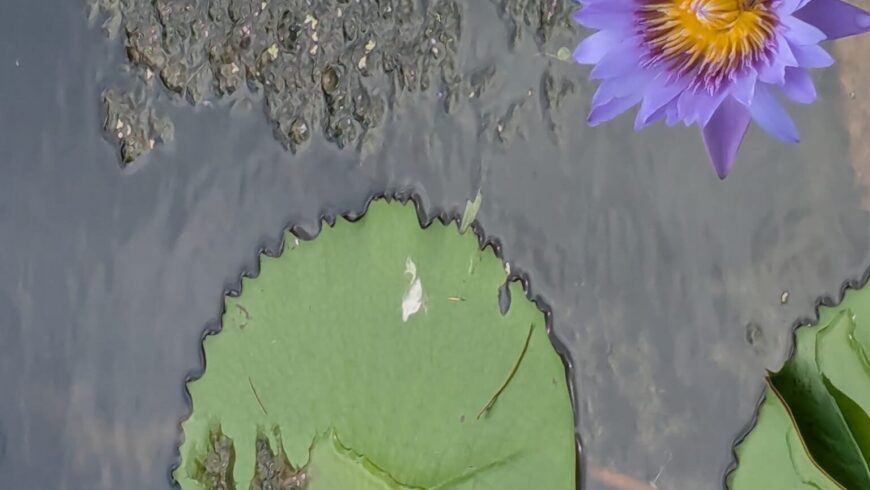 Chapter Forty One: Being Reflective