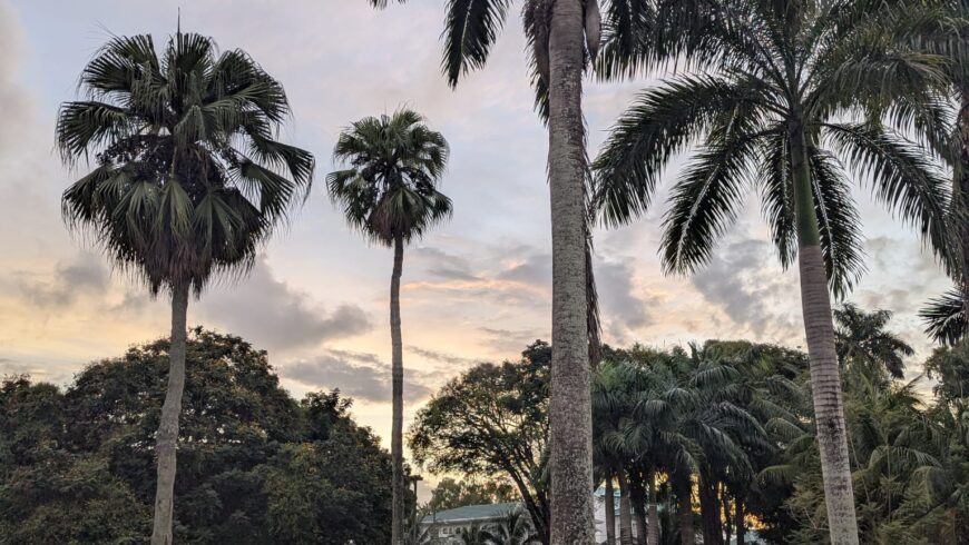 Chapter Forty Eight: Strategy, Learning, and Having a Seat at the Table